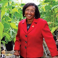 Dillard, a plant pathologist, feels at home in the UC Davis greenhouse. PHOTO: Molly Oleson