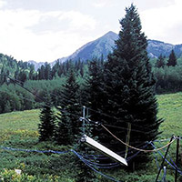 The Colorado experiment site in summer. Photo: Courtesy of John Harte