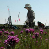 LONG RANGE: The UC Berkeley Range Ecology Lab, under the leadership of ESPM professor <strong>James Bartolome</strong>, is measuring vegetation change across space and time in Tejon Ranch’s grasslands and isolating environmental factors driving the change. The Lab’s findings will inform the management of the Tejon Ranch Conservancy, which contains portions of five major ecological regions. PHOTO: Rebecca Wenk