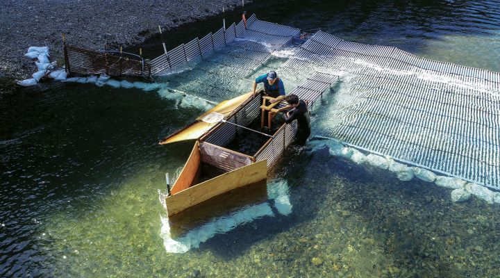 Two people standing in a river looking at a structure inside the river