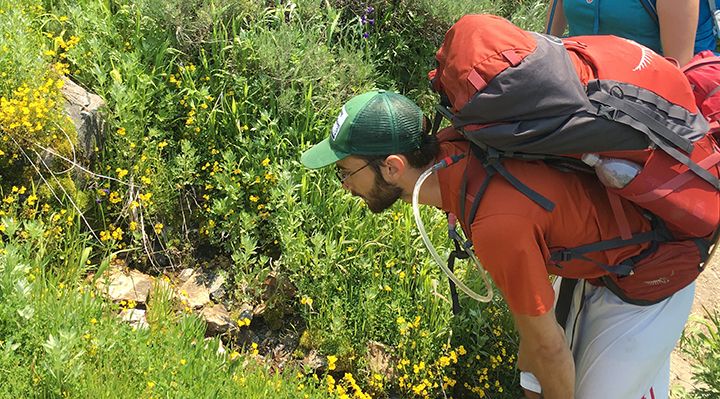 A backpacker stopping to observe wildflowers