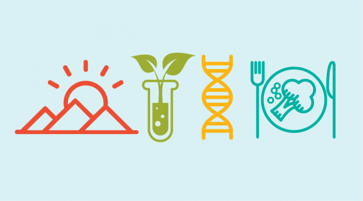 Icon of mountain, plant, DNA, and a plate of food