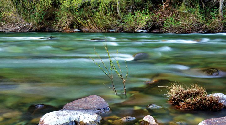 a flowing river