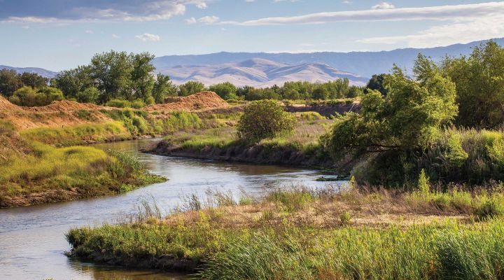 A lush river and landscape