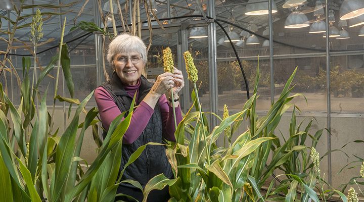 peggy lemaux with grain