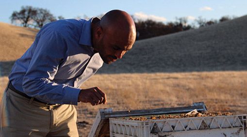 Solomon visits his beehives in Northern California. PHOTO: Molly Oleson